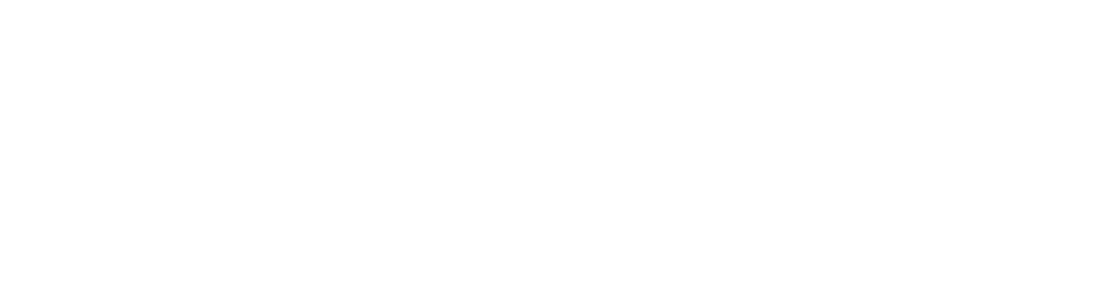 VOID logo blanc
